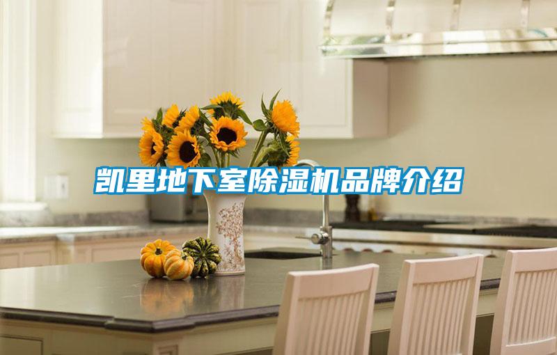 凯里地下室麻豆视频黄网站品牌介绍