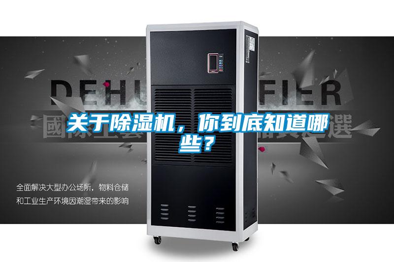 关于麻豆视频黄网站，你到底知道哪些？