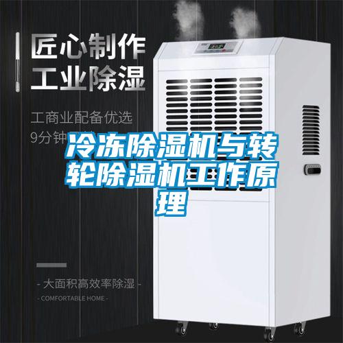 冷冻麻豆视频黄网站与转轮麻豆视频黄网站工作原理