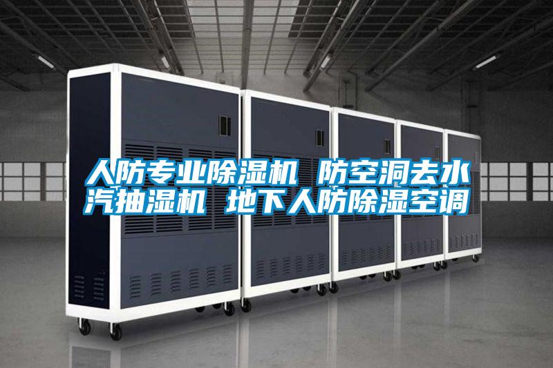人防专业麻豆视频黄网站 防空洞去水汽抽湿机 地下人防除湿空调