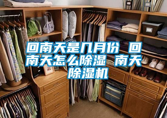 回南天是几月份 回南天怎么除湿 南天 麻豆视频黄网站