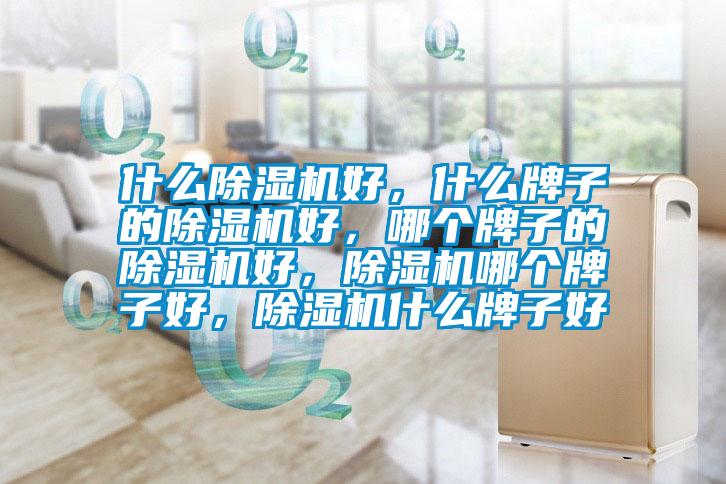 什么麻豆视频黄网站好，什么牌子的麻豆视频黄网站好，哪个牌子的麻豆视频黄网站好，麻豆视频黄网站哪个牌子好，麻豆视频黄网站什么牌子好