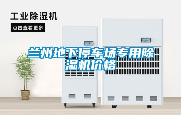 兰州地下停车场专用麻豆视频黄网站价格