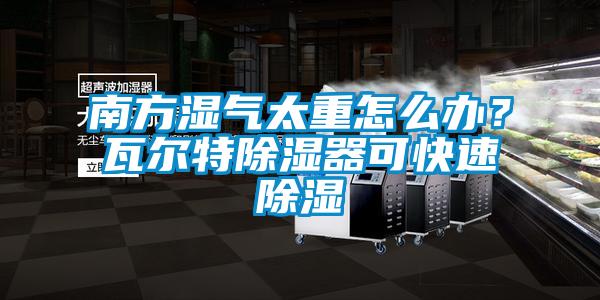 南方湿气太重怎么办？瓦尔特除湿器可快速除湿