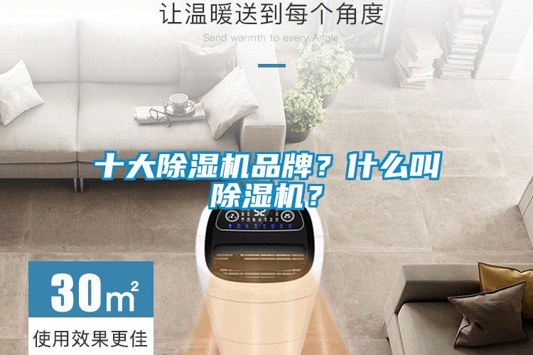 十大麻豆视频黄网站品牌？什么叫麻豆视频黄网站？