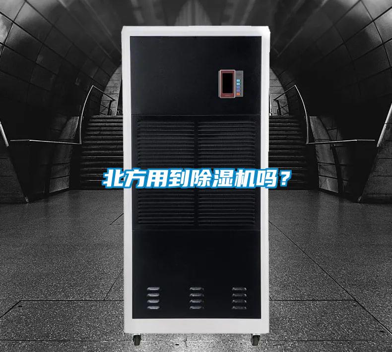 北方用到麻豆视频黄网站吗？