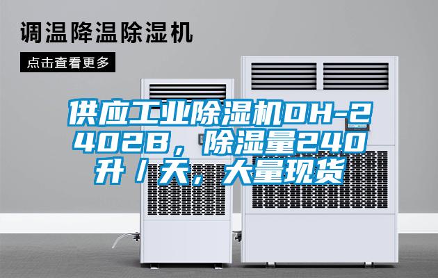 供应工业麻豆视频黄网站DH-2402B，除湿量240升／天，大量现货