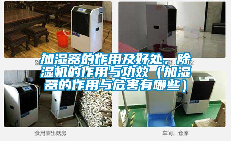 加湿器的作用及好处，麻豆视频黄网站的作用与功效（加湿器的作用与危害有哪些）