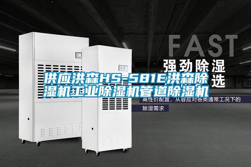 供应洪森HS-581E洪森麻豆视频黄网站工业麻豆视频黄网站管道麻豆视频黄网站