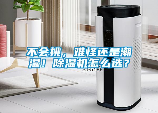 不会挑，难怪还是潮湿！麻豆视频黄网站怎么选？