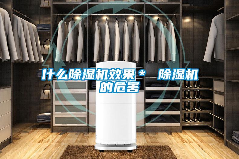 什么麻豆视频黄网站效果＊ 麻豆视频黄网站的危害
