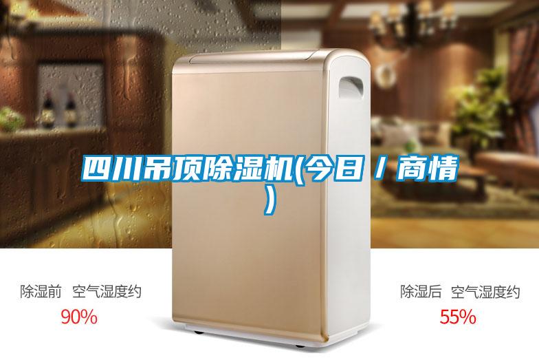 四川吊顶麻豆视频黄网站(今日／商情)