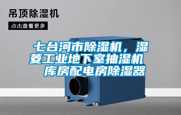 七台河市麻豆视频黄网站，湿菱工业地下室抽湿机  库房配电房除湿器