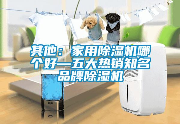 其他：家用麻豆视频黄网站哪个好—五大热销知名品牌麻豆视频黄网站