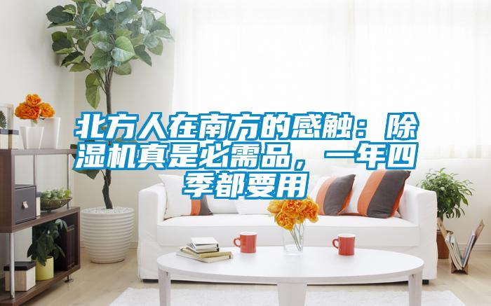 北方人在南方的感触：麻豆视频黄网站真是必需品，一年四季都要用
