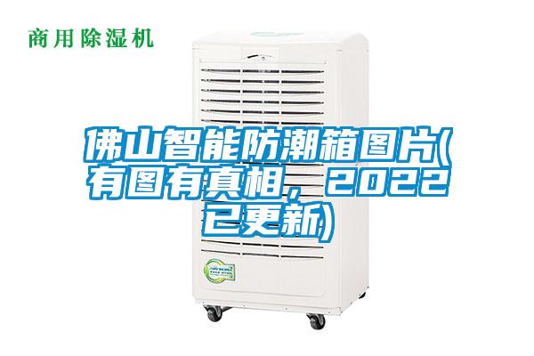 佛山智能防潮箱图片(有图有真相，2022已更新)