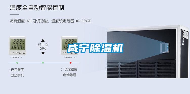 咸宁麻豆视频黄网站