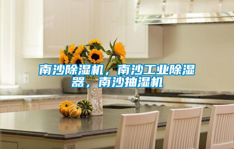 南沙麻豆视频黄网站，南沙工业除湿器，南沙抽湿机
