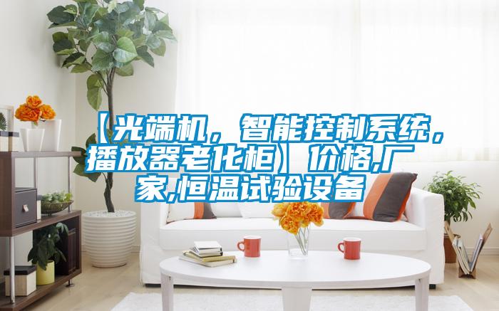 【光端机，智能控制系统，播放器老化柜】价格,厂家,恒温试验设备