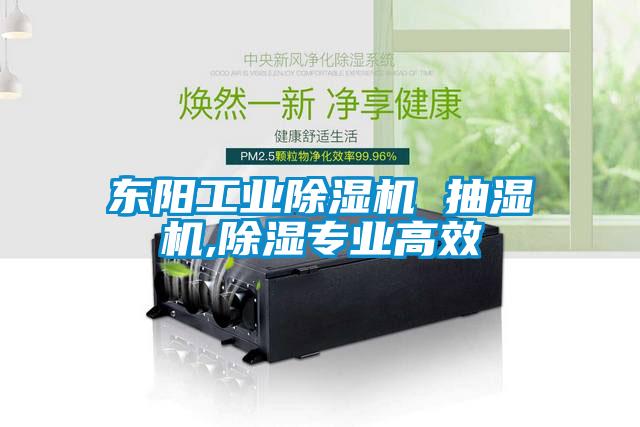 东阳工业麻豆视频黄网站 抽湿机,除湿专业高效