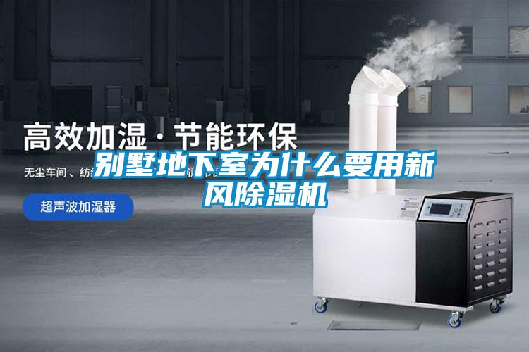 别墅地下室为什么要用新风麻豆视频黄网站