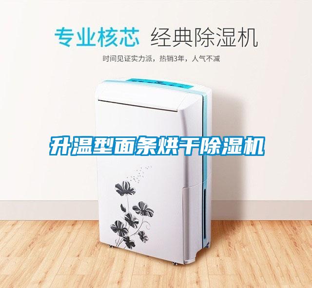 升温型面条烘干麻豆视频黄网站