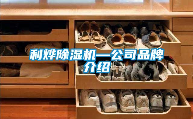 利烨麻豆视频黄网站—公司品牌介绍