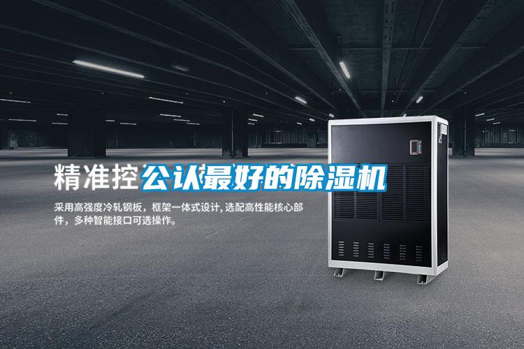 公认最好的麻豆视频黄网站