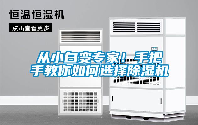 从小白变专家！手把手教你如何选择麻豆视频黄网站