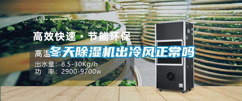 冬天麻豆视频黄网站出冷风正常吗
