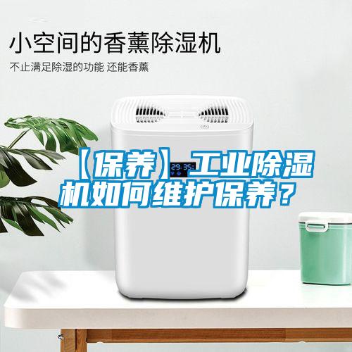 【保养】工业麻豆视频黄网站如何维护保养？