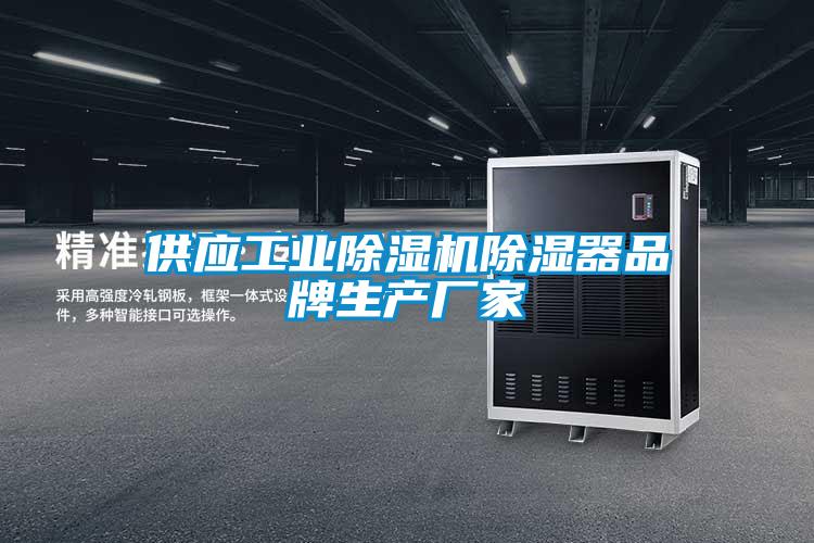 供应工业麻豆视频黄网站除湿器品牌生产厂家