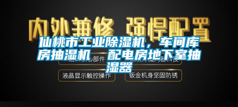 仙桃市工业麻豆视频黄网站，车间库房抽湿机  配电房地下室抽湿器