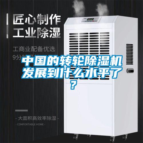 中国的转轮麻豆视频黄网站发展到什么水平了？