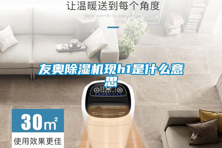 友奥麻豆视频黄网站现h1是什么意思