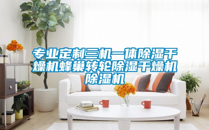 专业定制三机一体除湿干燥机蜂巢转轮除湿干燥机麻豆视频黄网站