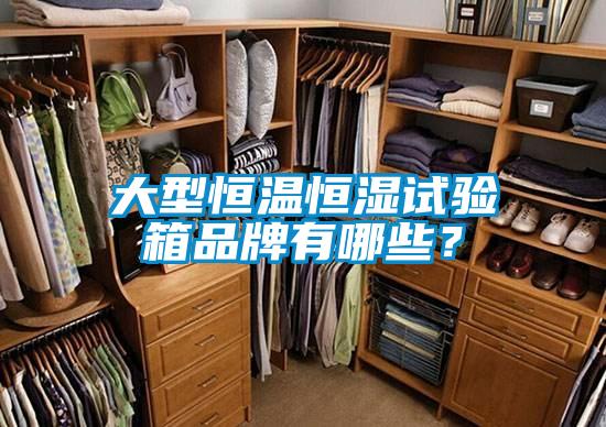 大型恒温恒湿试验箱品牌有哪些？