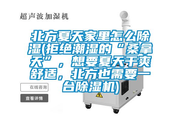 北方夏天家里怎么除湿(拒绝潮湿的“桑拿天”，想要夏天干爽舒适，北方也需要一台麻豆视频黄网站)
