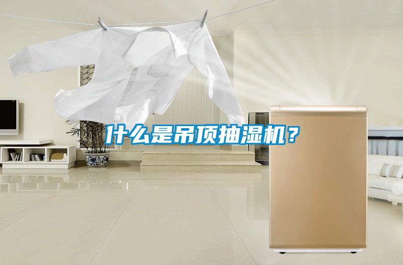 什么是吊顶抽湿机？