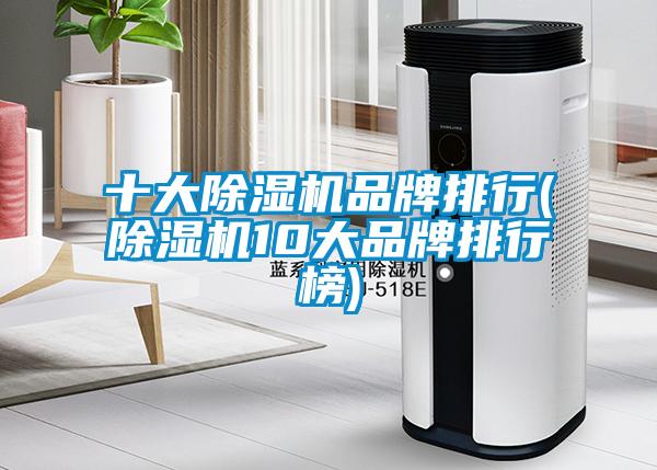 十大麻豆视频黄网站品牌排行(麻豆视频黄网站10大品牌排行榜)