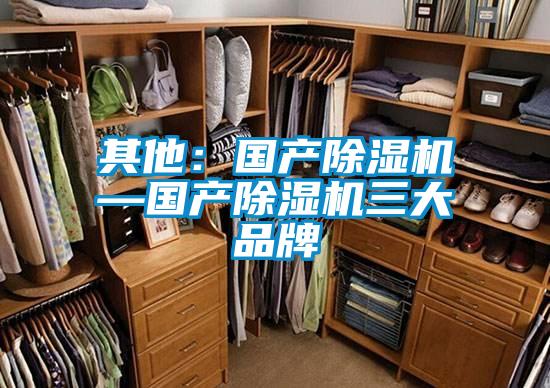 其他：国产麻豆视频黄网站—国产麻豆视频黄网站三大品牌