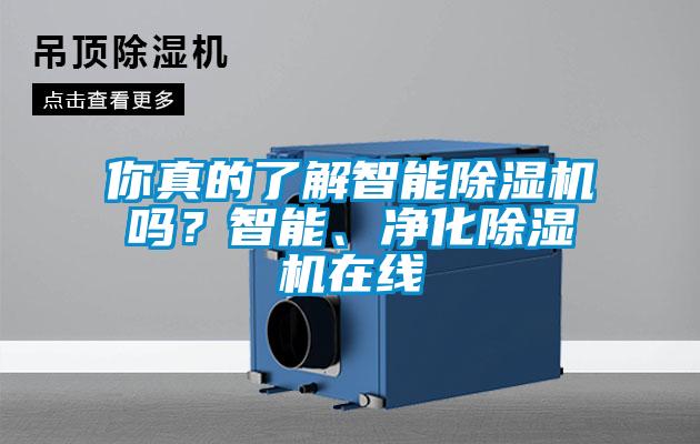 你真的了解智能麻豆视频黄网站吗？智能、净化麻豆视频黄网站在线