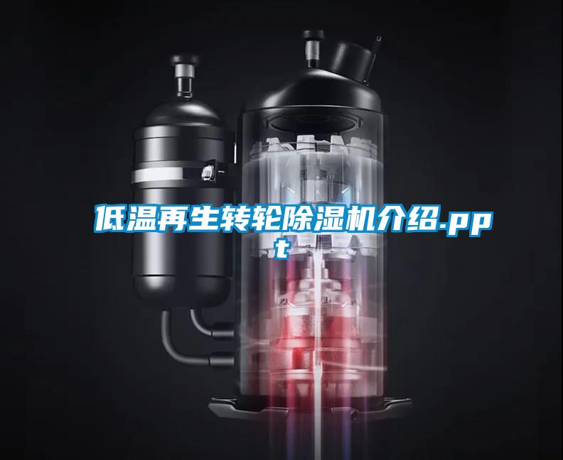 低温再生转轮麻豆视频黄网站介绍.ppt