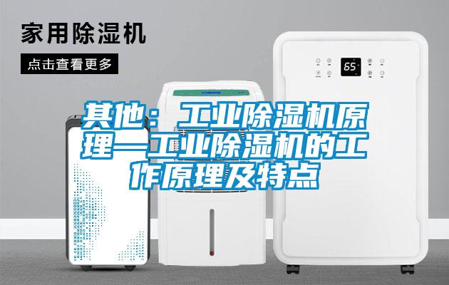 其他：工业麻豆视频黄网站原理—工业麻豆视频黄网站的工作原理及特点
