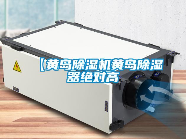【黄岛麻豆视频黄网站黄岛除湿器绝对高