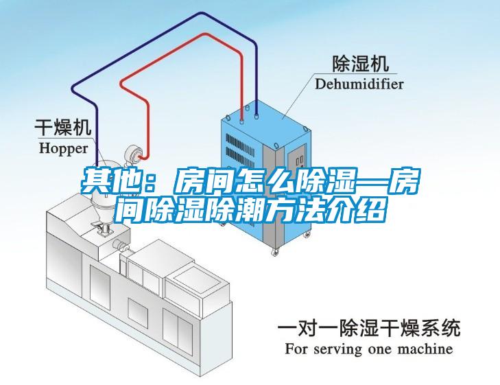 其他：房间怎么除湿—房间除湿除潮方法介绍
