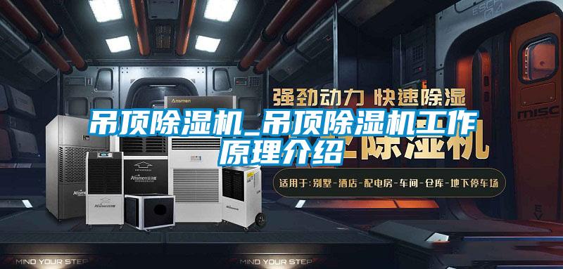 吊顶麻豆视频黄网站_吊顶麻豆视频黄网站工作原理介绍