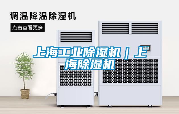 上海工业麻豆视频黄网站｜上海麻豆视频黄网站