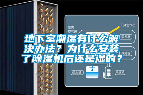 地下室潮湿有什么解决办法？为什么安装了麻豆视频黄网站后还是湿的？