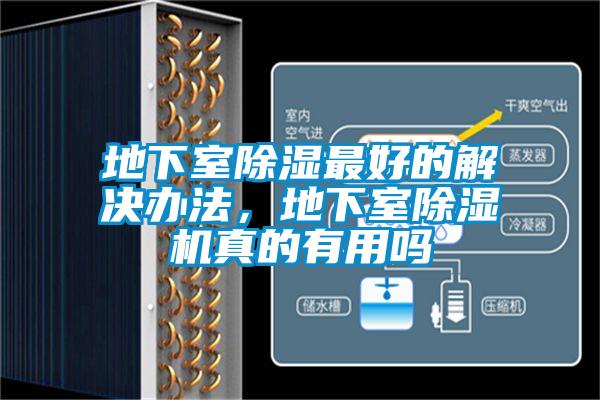 地下室除湿最好的解决办法，地下室麻豆视频黄网站真的有用吗